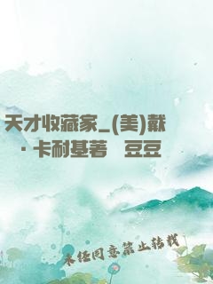 天才收藏家